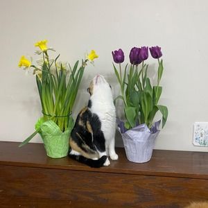 Meet your Posher, Terri